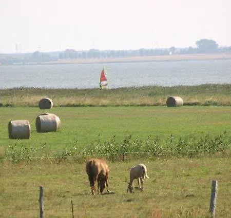 Boddenbrise Feriehus Born